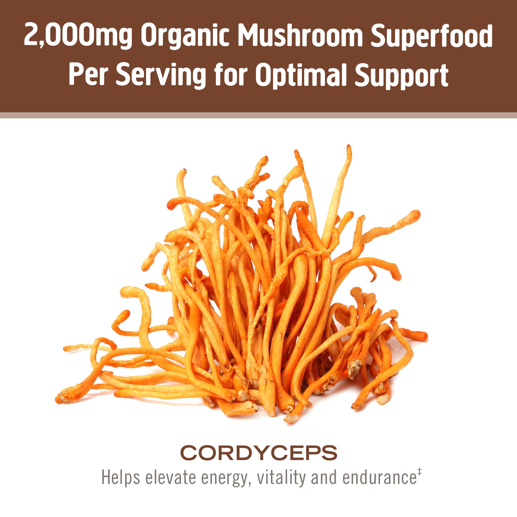 OM MUSHROOM CORDYCEPS batido o smoothie energético