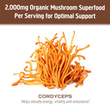 OM MUSHROOM CORDYCEPS batido o smoothie energético