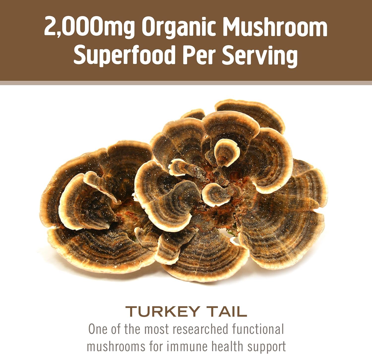 OM MUSHROOM Cultivo en EE.UU. para calidad