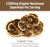 OM MUSHROOM Cultivo en EE.UU. para calidad