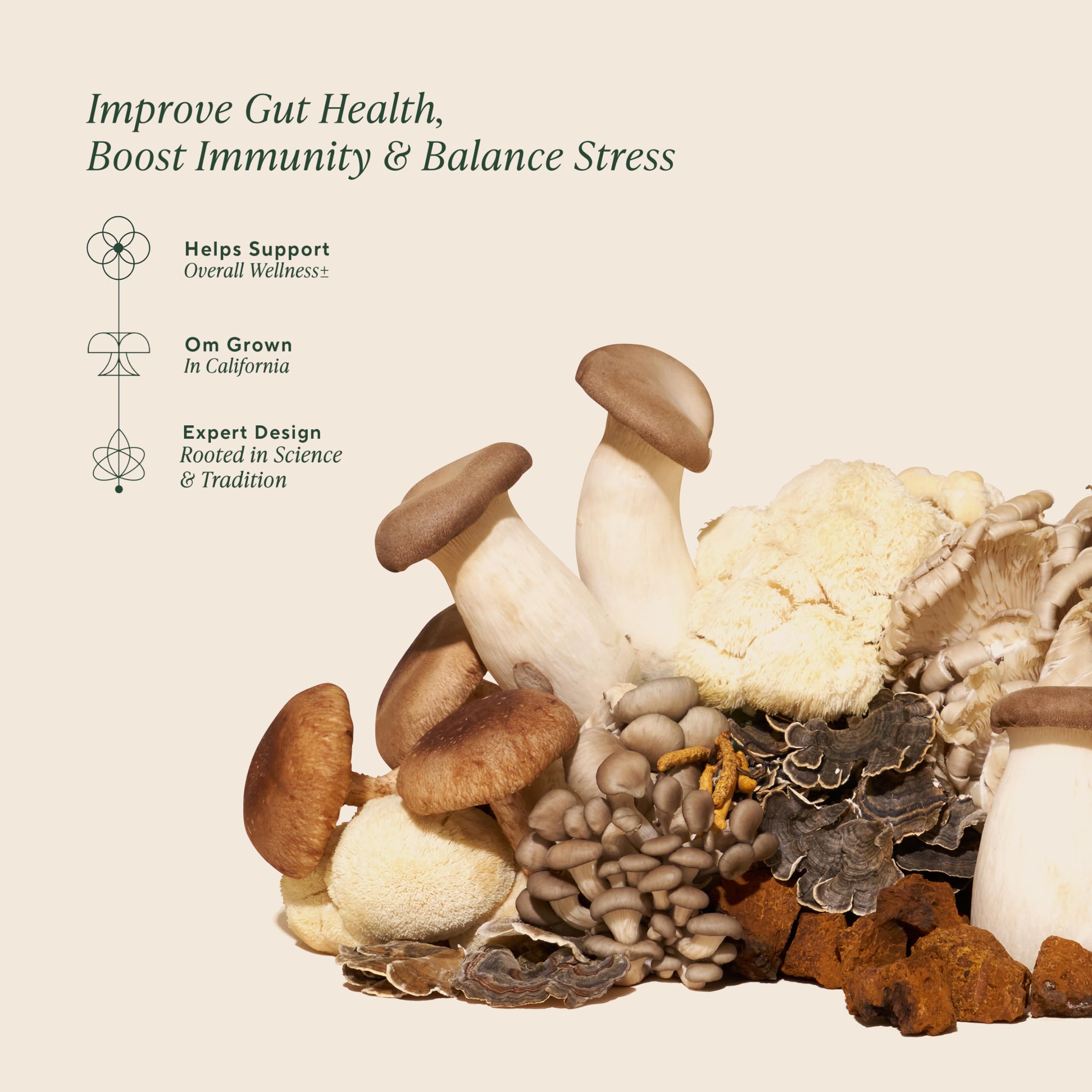 OM MUSHROOM MASTER BLEND GUMMIES beta-glucanos: alto contenido para apoyar la función inmune