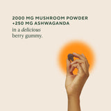OM MUSHROOM MASTER BLEND GUMMIES detras: información de ingredientes y beneficios para la salud intestinal