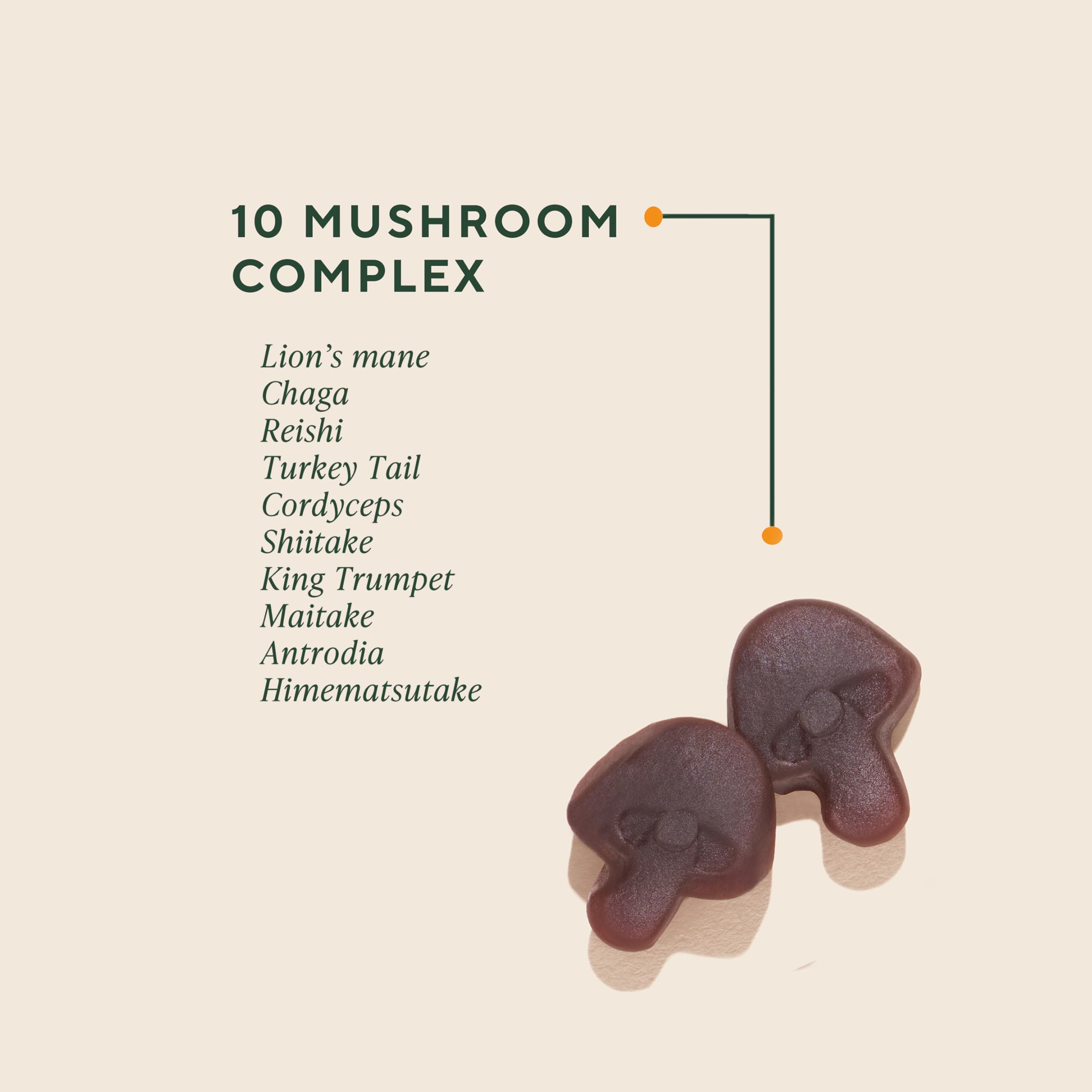 OM MUSHROOM MASTER BLEND GUMMIES ingredientes-clave: diez hongos orgánicos para bienestar general
