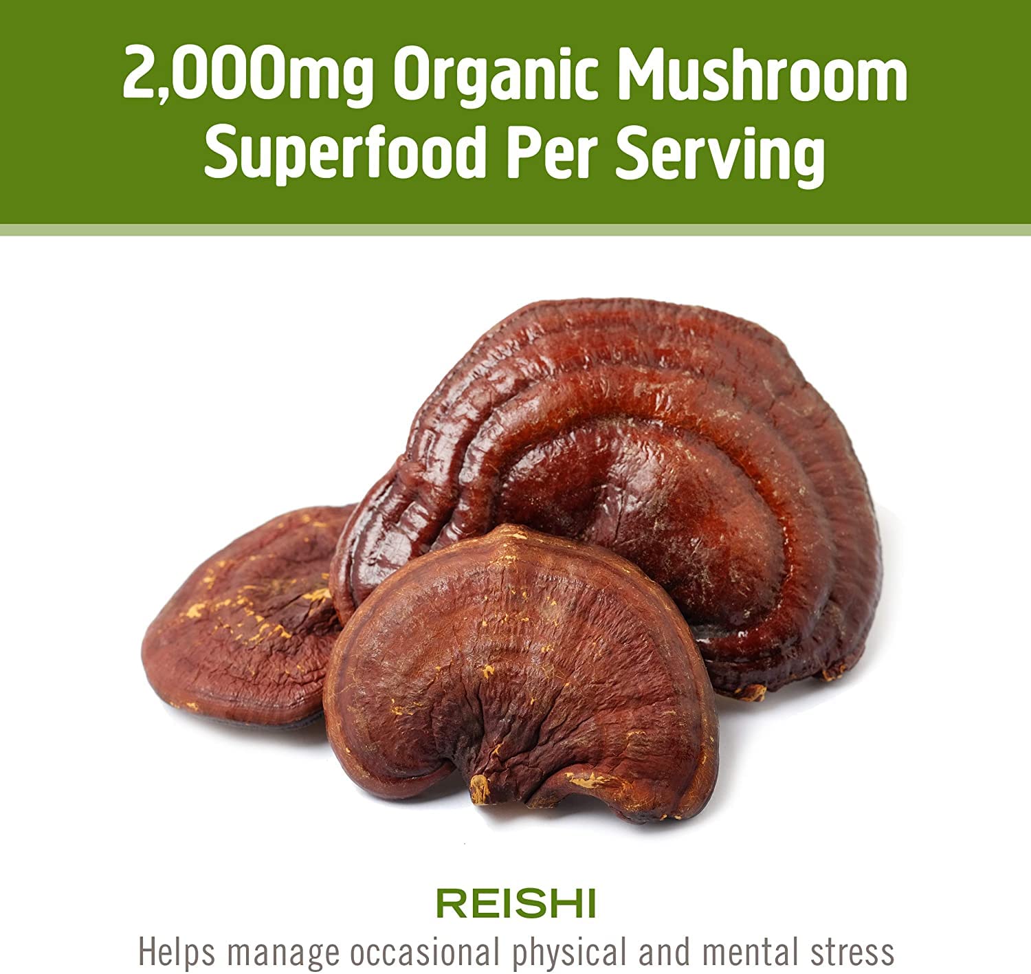 Cápsulas OM MUSHROOM SUPERFOOD Reishi en vaso, consumo práctico diario.