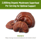 OM MUSHROOM REISHI mezcla-smoothie: incorporación rápida a la rutina de bienestar.