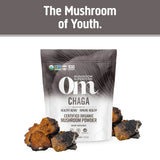 OM MUSHROOM SUPERFOOD Chaga: batido suave con beneficios naturales.