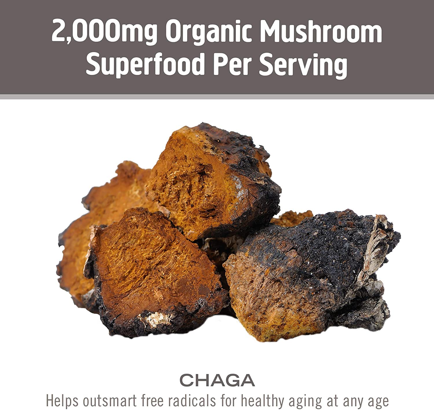 OM MUSHROOM SUPERFOOD Chaga, cultivo en California, fabricación responsable.