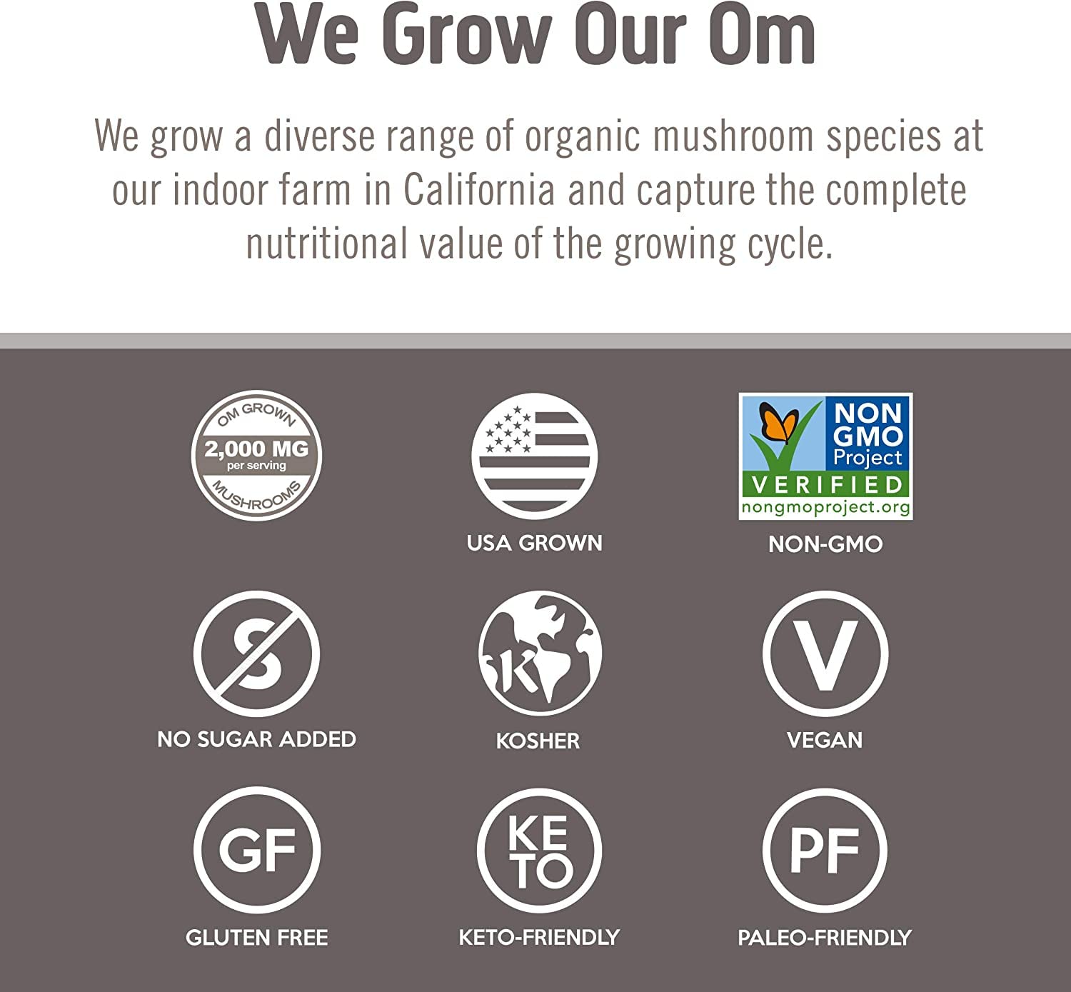 OM MUSHROOM SUPERFOOD Chaga, uso diario para enfoque y bienestar general.