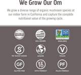 OM MUSHROOM SUPERFOOD Chaga, uso diario para enfoque y bienestar general.