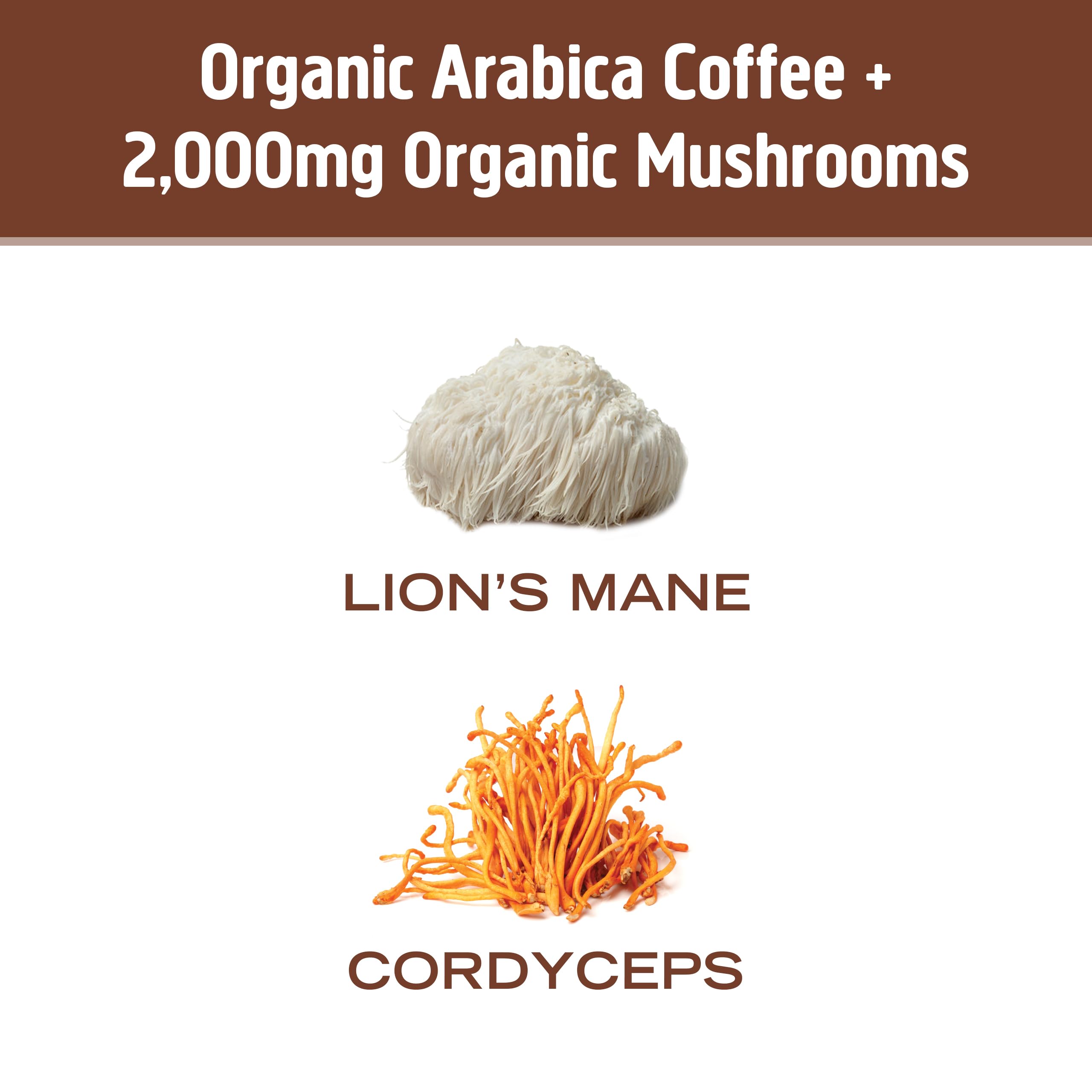 OM MUSHROOM SUPERFOOD chaga polvo sabor suave