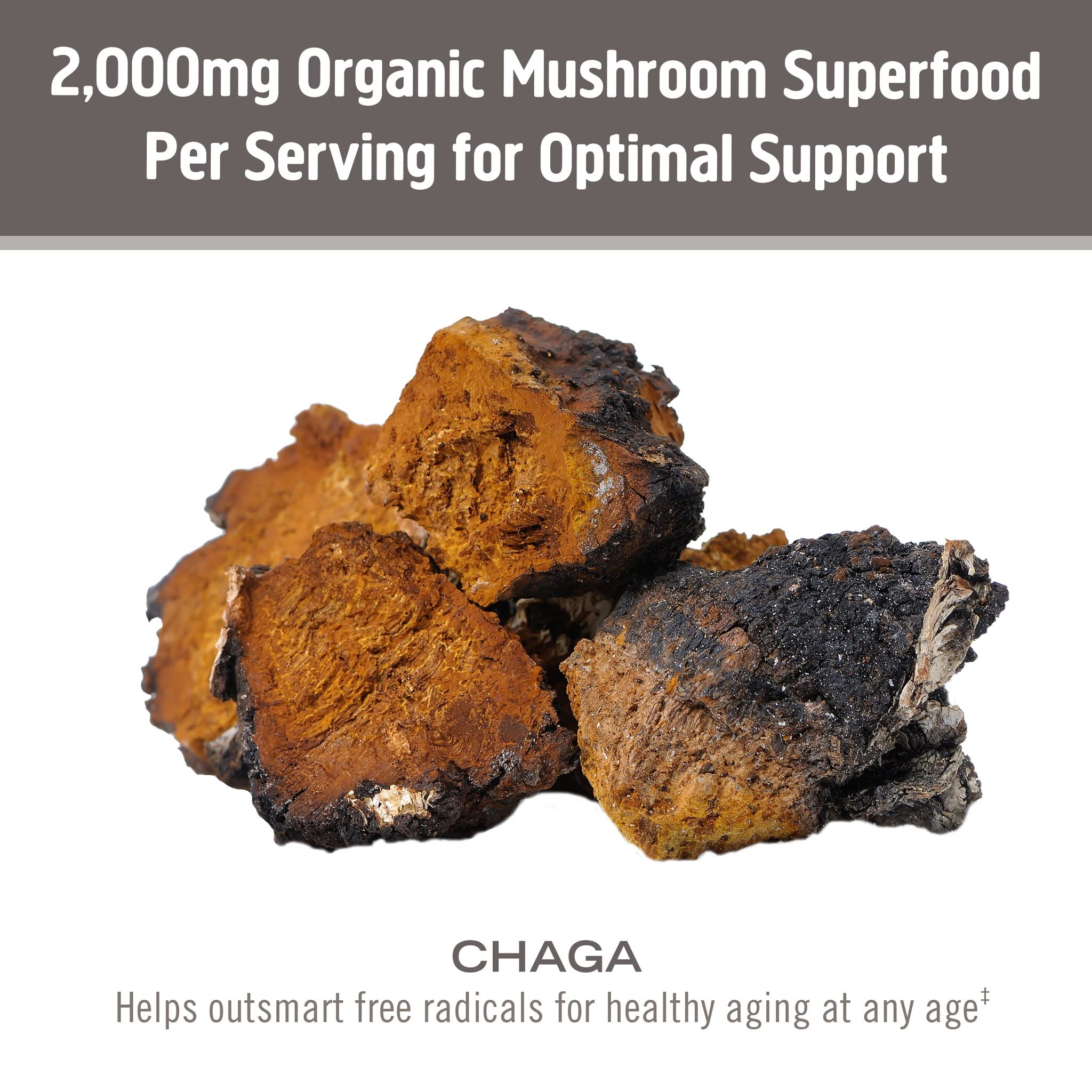 OM MUSHROOM SUPERFOOD Chaga: añade a sopas o salsas para enriquecer la nutrición.