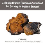 OM MUSHROOM SUPERFOOD Chaga: añade a sopas o salsas para enriquecer la nutrición.