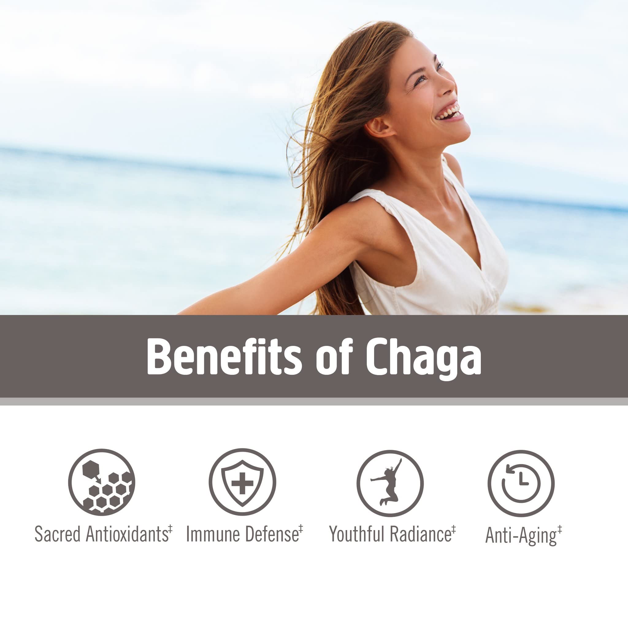 OM MUSHROOM SUPERFOOD Chaga: té reconfortante para un impulso diario.
