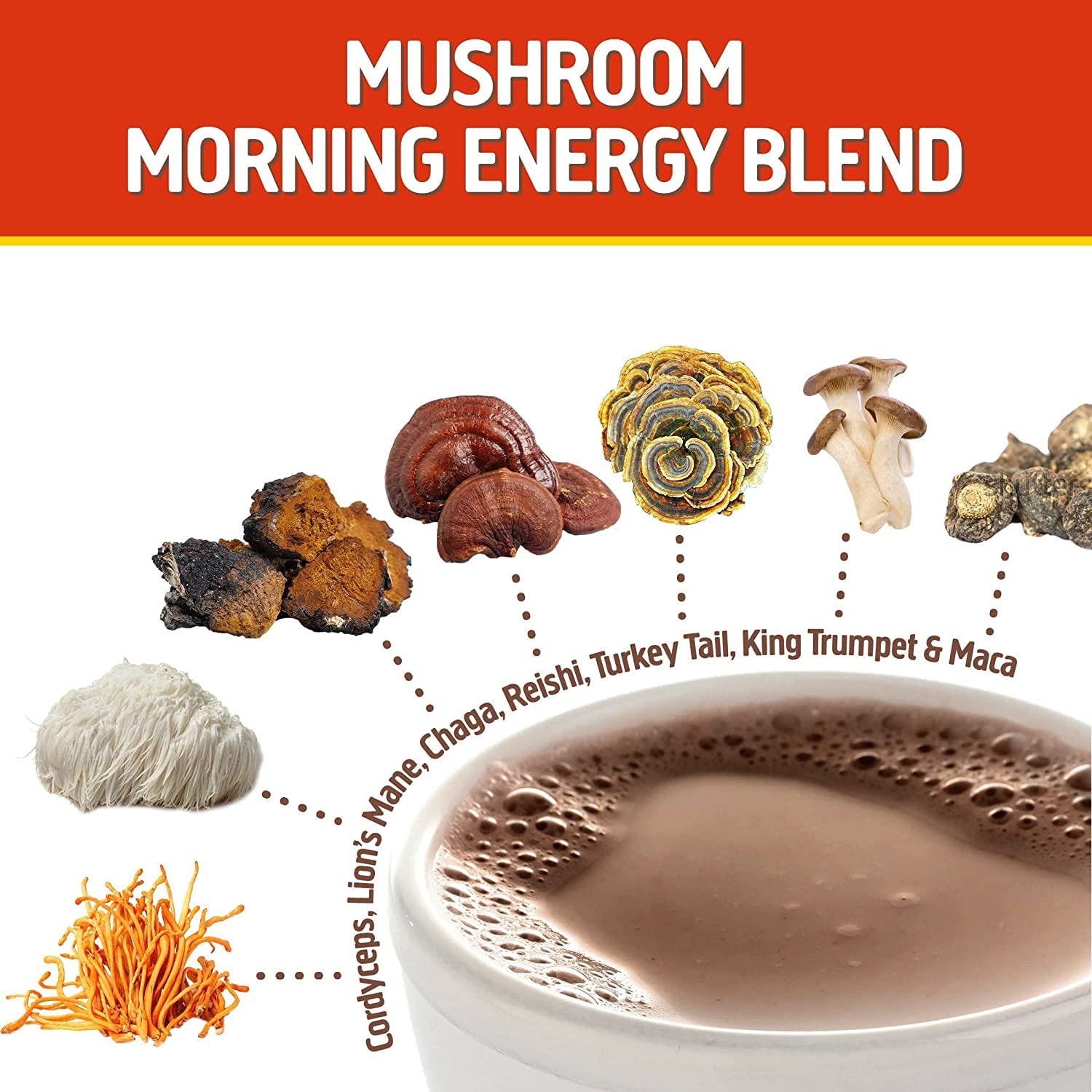 OM MUSHROOM SUPERFOOD cordyceps y melena de león en polvo para enfoque matutino