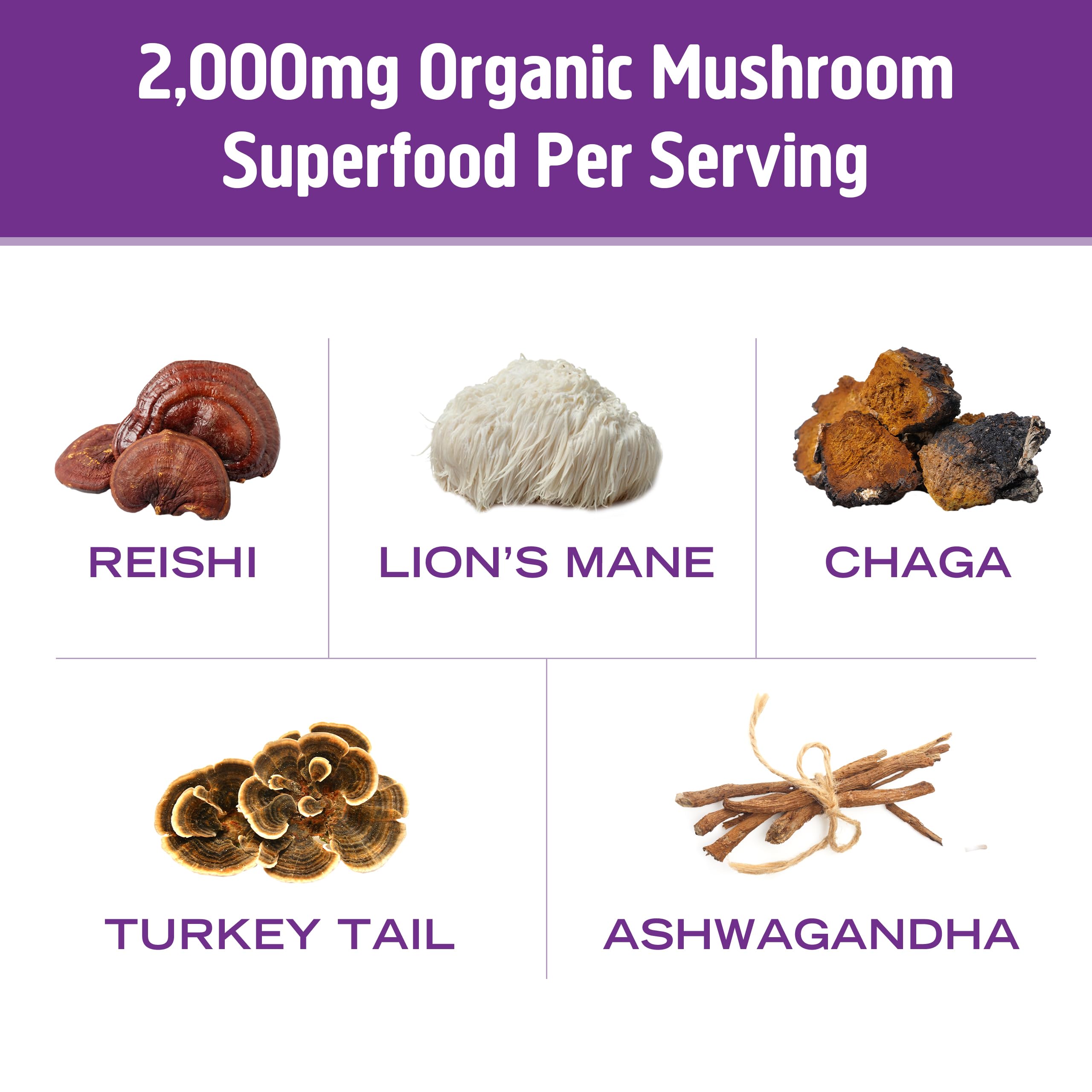 Cucharilla de medición OM MUSHROOM SUPERFOOD, dosis precisa para la preparación.