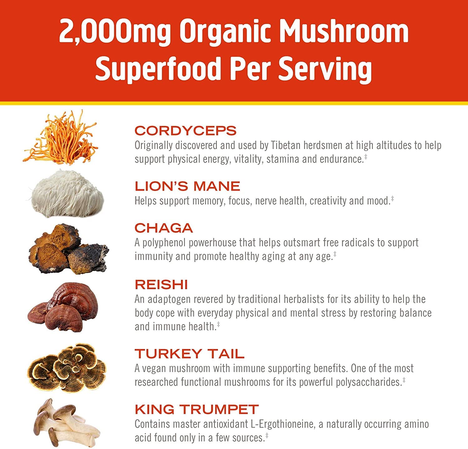 OM MUSHROOM SUPERFOOD etiqueta orgánica certificada y calidad garantizada