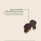 Cultivo orgánico OM MUSHROOM SUPERFOOD Melena de León, proceso responsable y de calidad.