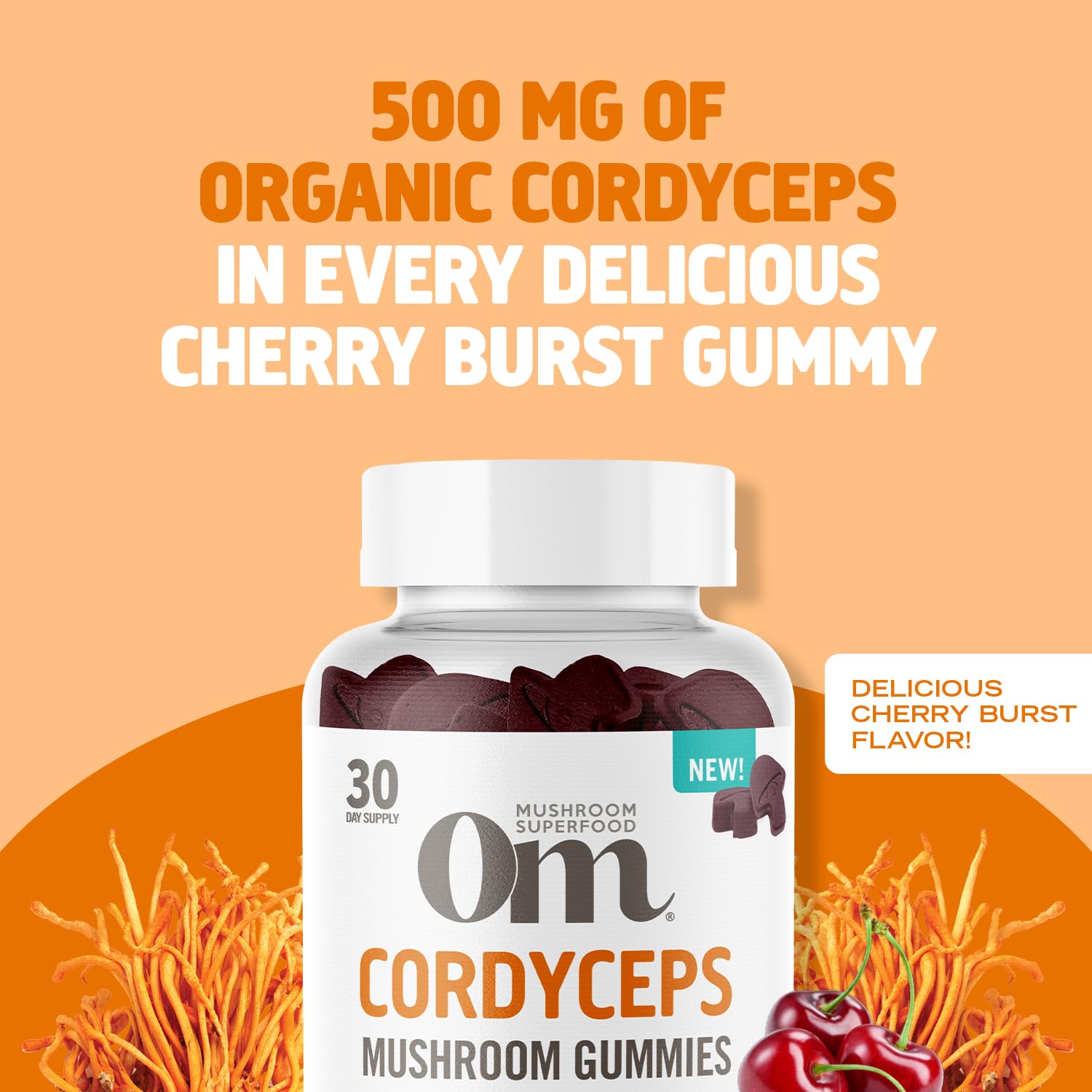 Hongos orgánicos cultivados en EE. UU. para Cordyceps de calidad.