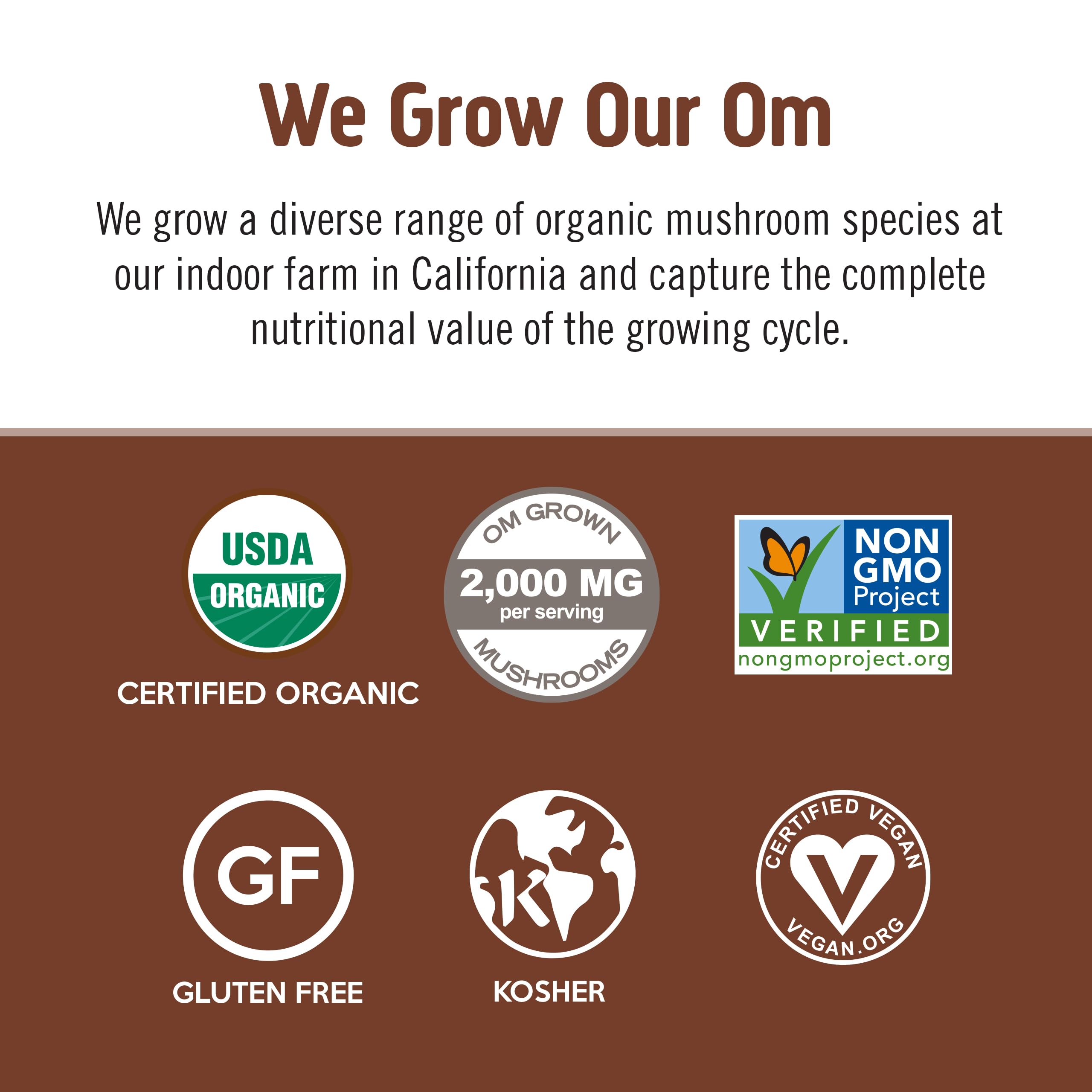 OM MUSHROOM SUPERFOOD café instantáneo, sabor audaz para la mañana.