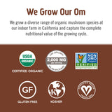 OM MUSHROOM SUPERFOOD café instantáneo, sabor audaz para la mañana.
