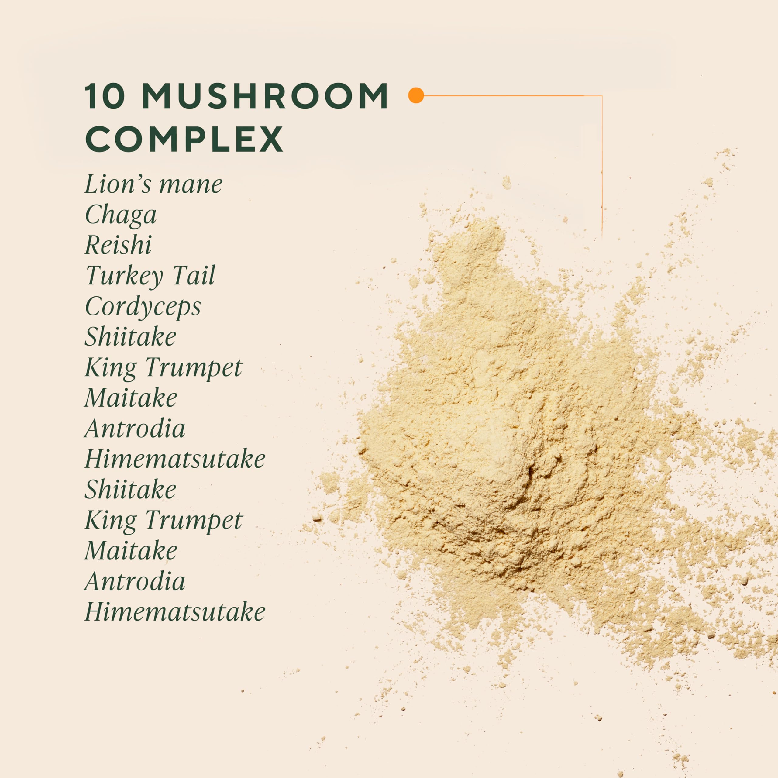 OM MUSHROOM SUPERFOOD Master Blend complejo de 10 hongos para recuperación posible.