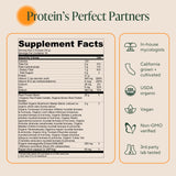 OM MUSHROOM SUPERFOOD Mezcla Maestra dosificador para porciones exactas