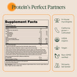 OM MUSHROOM SUPERFOOD Master Blend vegan con BCAA y B12 para soporte diario.