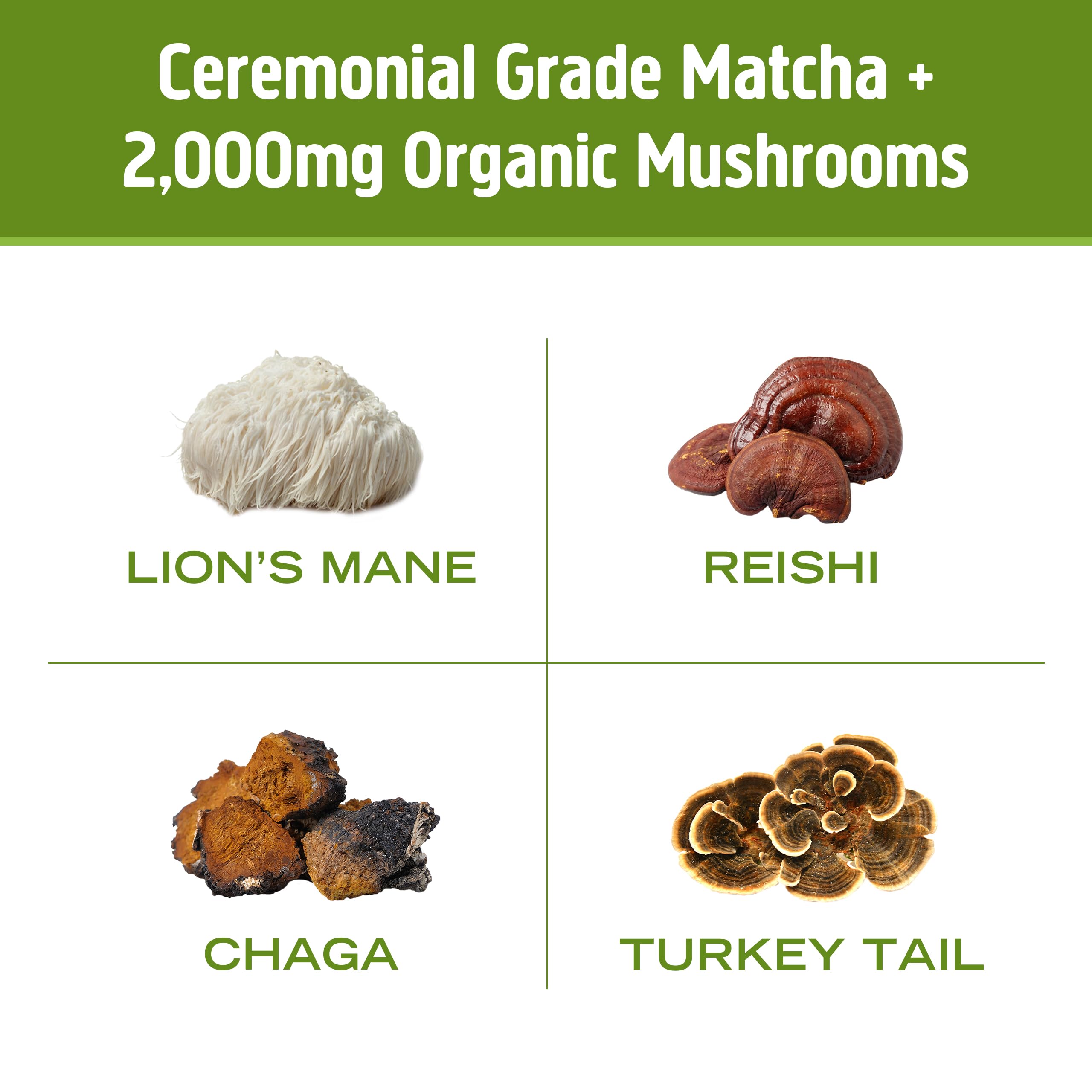 OM MUSHROOM SUPERFOOD Mezcla Matcha Latte mejora la concentración matutina.