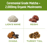 OM MUSHROOM SUPERFOOD Mezcla Matcha Latte mejora la concentración matutina.
