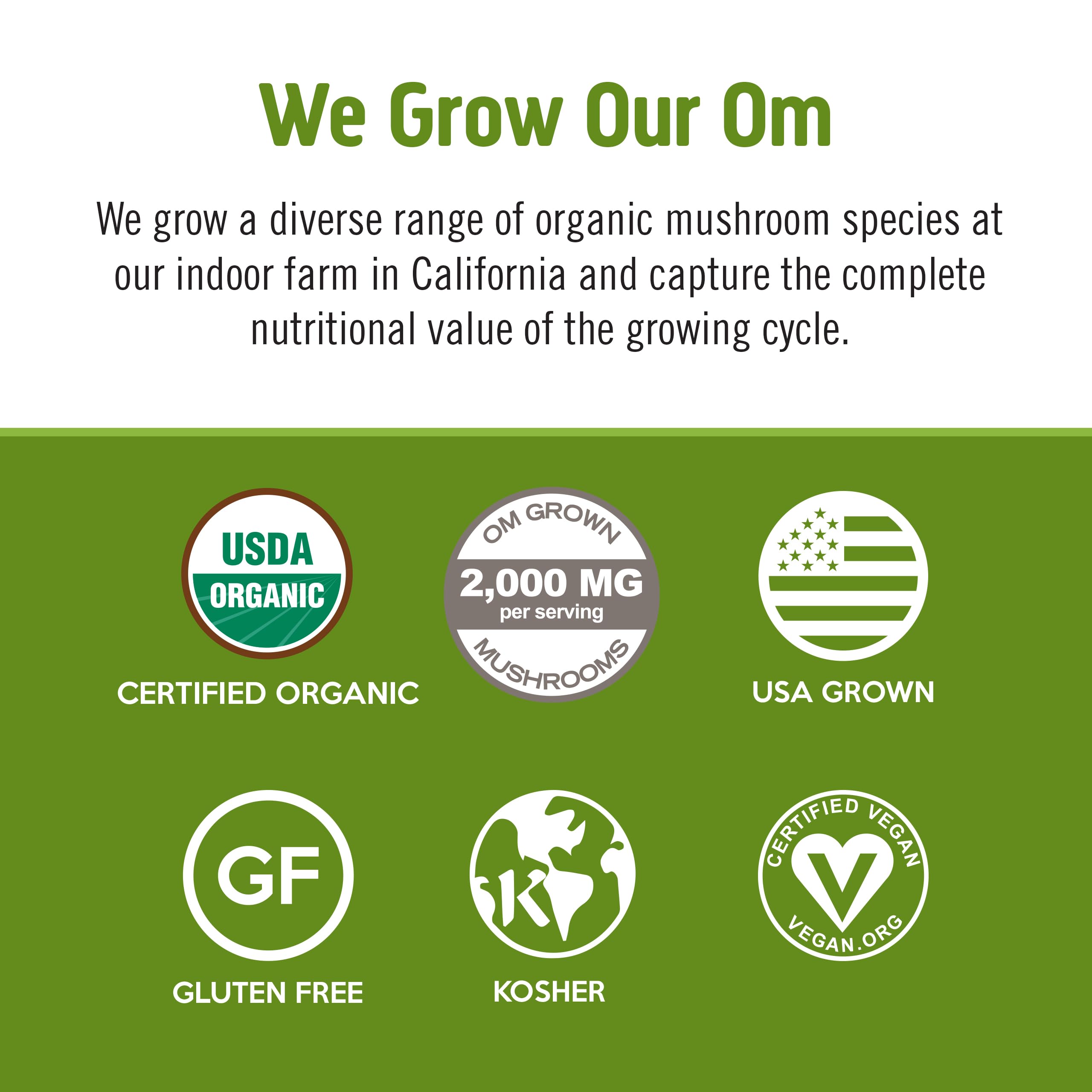 OM MUSHROOM SUPERFOOD Mezcla Matcha Latte en taza caliente para ritual diario.