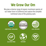 OM MUSHROOM SUPERFOOD Mezcla Matcha Latte en taza caliente para ritual diario.