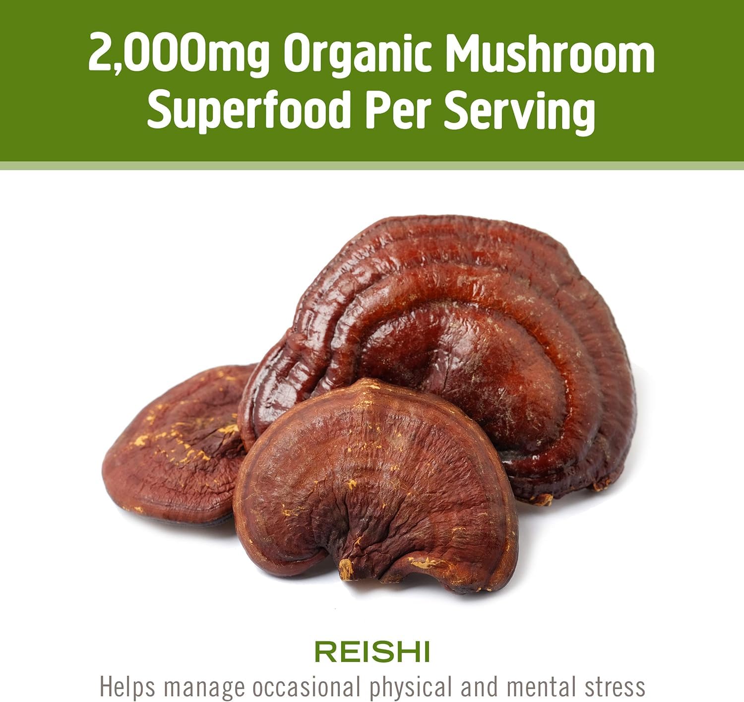OM MUSHROOM SUPERFOOD Mezcla para café reishi, sabor terroso.