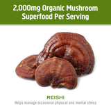 OM MUSHROOM SUPERFOOD Mezcla para café reishi, sabor terroso.