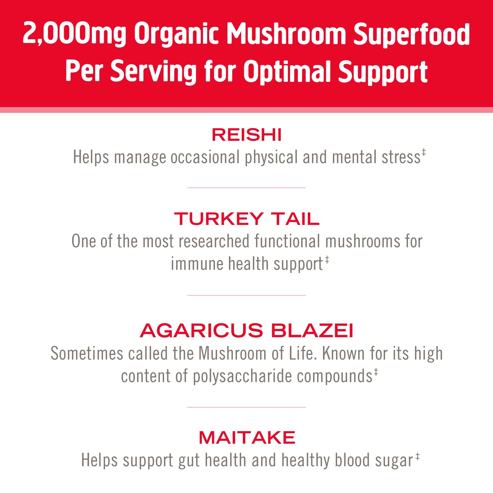 OM MUSHROOM SUPERFOOD polvo de hongo con textura suave para batidos