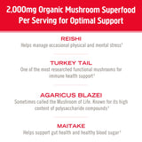 OM MUSHROOM SUPERFOOD polvo de hongo con textura suave para batidos