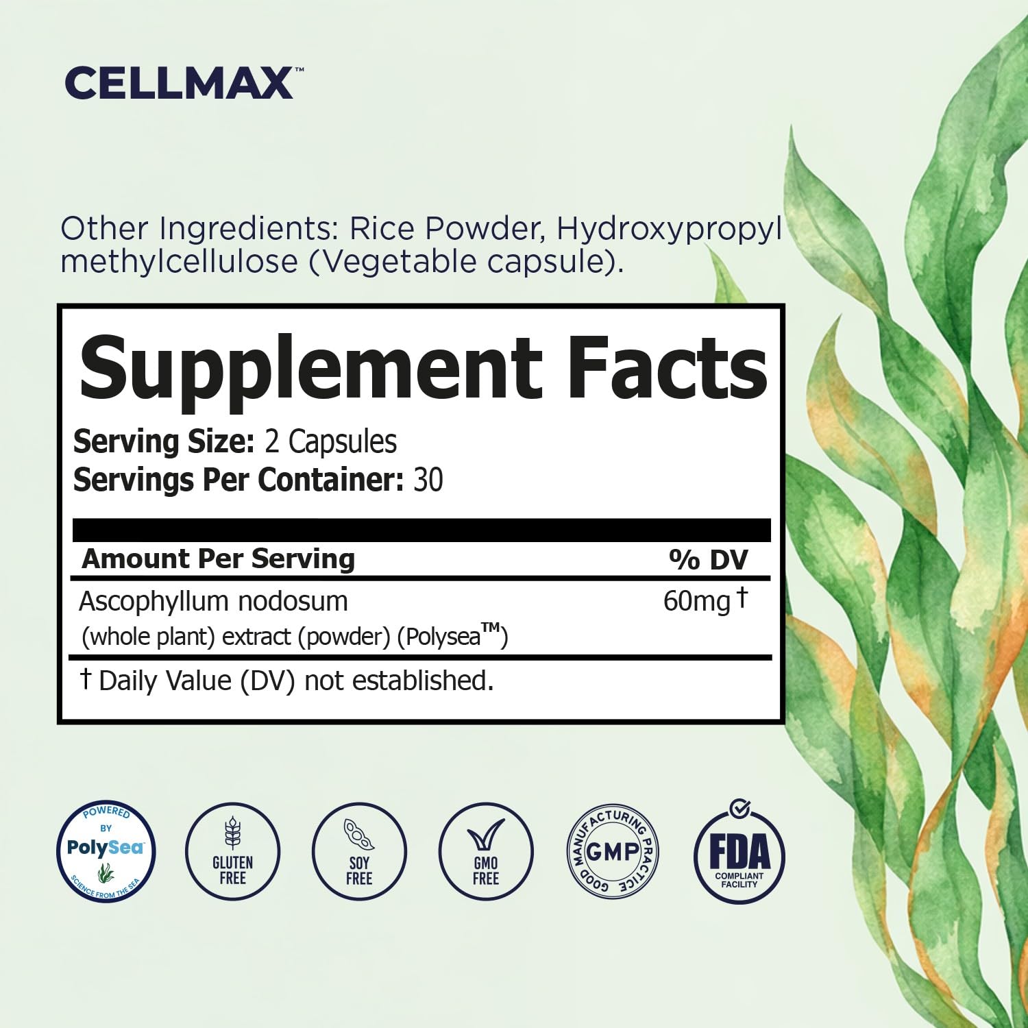 Omax3 Cellmax: plan de dos cápsulas diarias para rutina de bienestar.