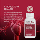 OmegaXL HeartXL Advanced: detalle de ingredientes mediterráneos como olivo, granada y semilla de uva.