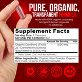 Cápsulas veganas OmniBiotics con arándano orgánico en la mano, para uso diario.