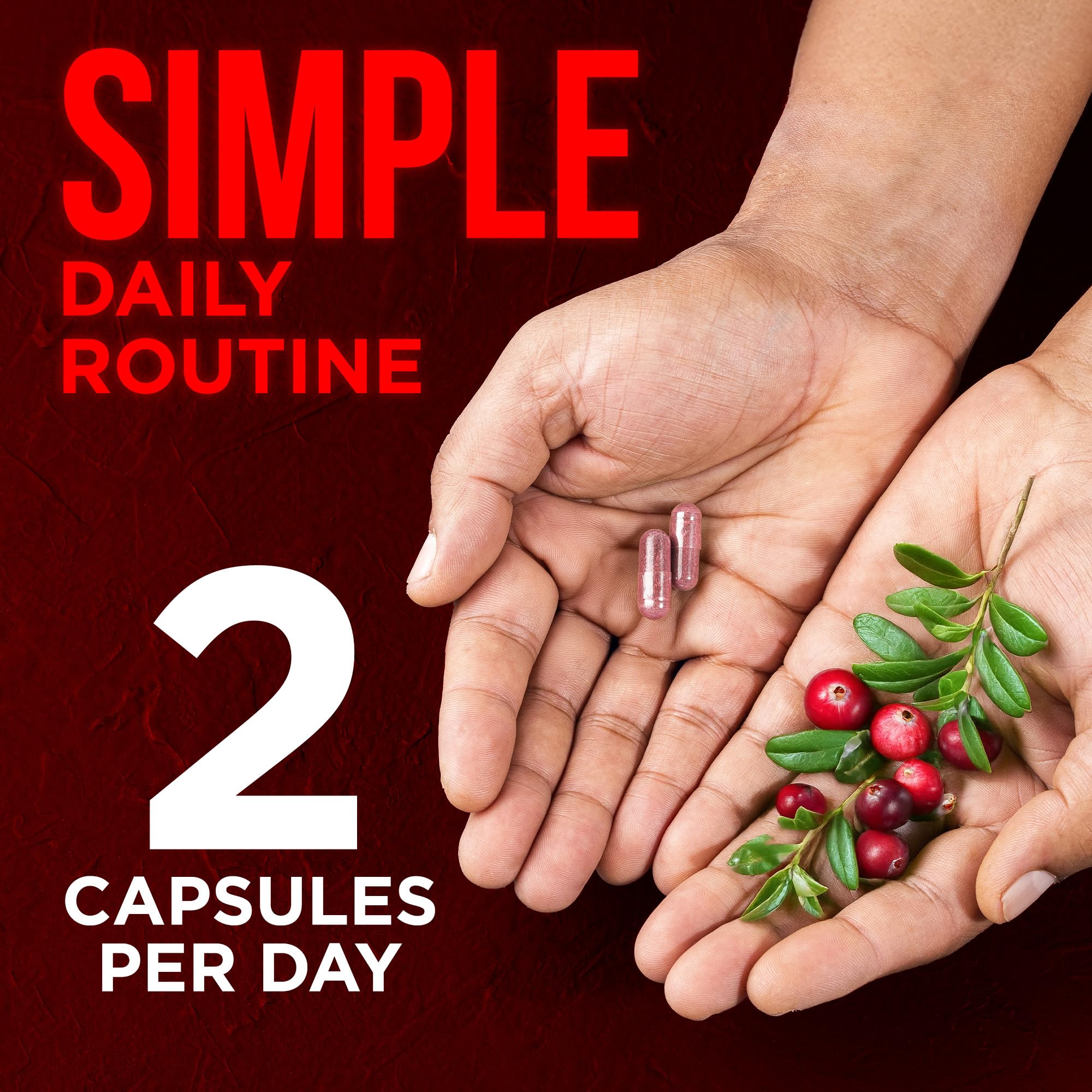 Cápsulas OmniBiotics con polifenoles de arándano para potencial antioxidante.