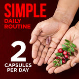 Cápsulas OmniBiotics con polifenoles de arándano para potencial antioxidante.