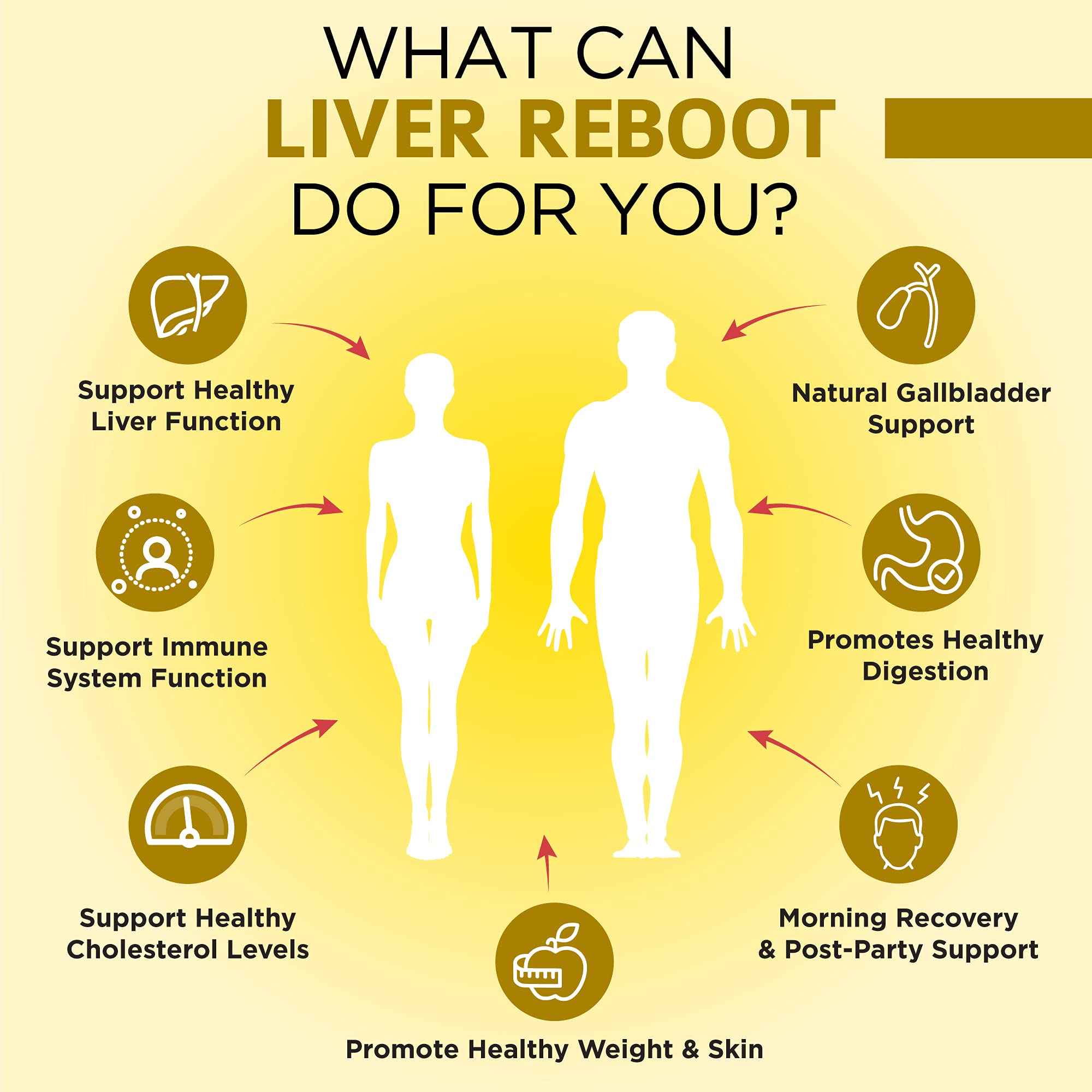 OmniBiotics diente de león: raíz natural para limpieza y digestión.
