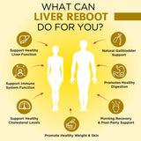 OmniBiotics diente de león: raíz natural para limpieza y digestión.