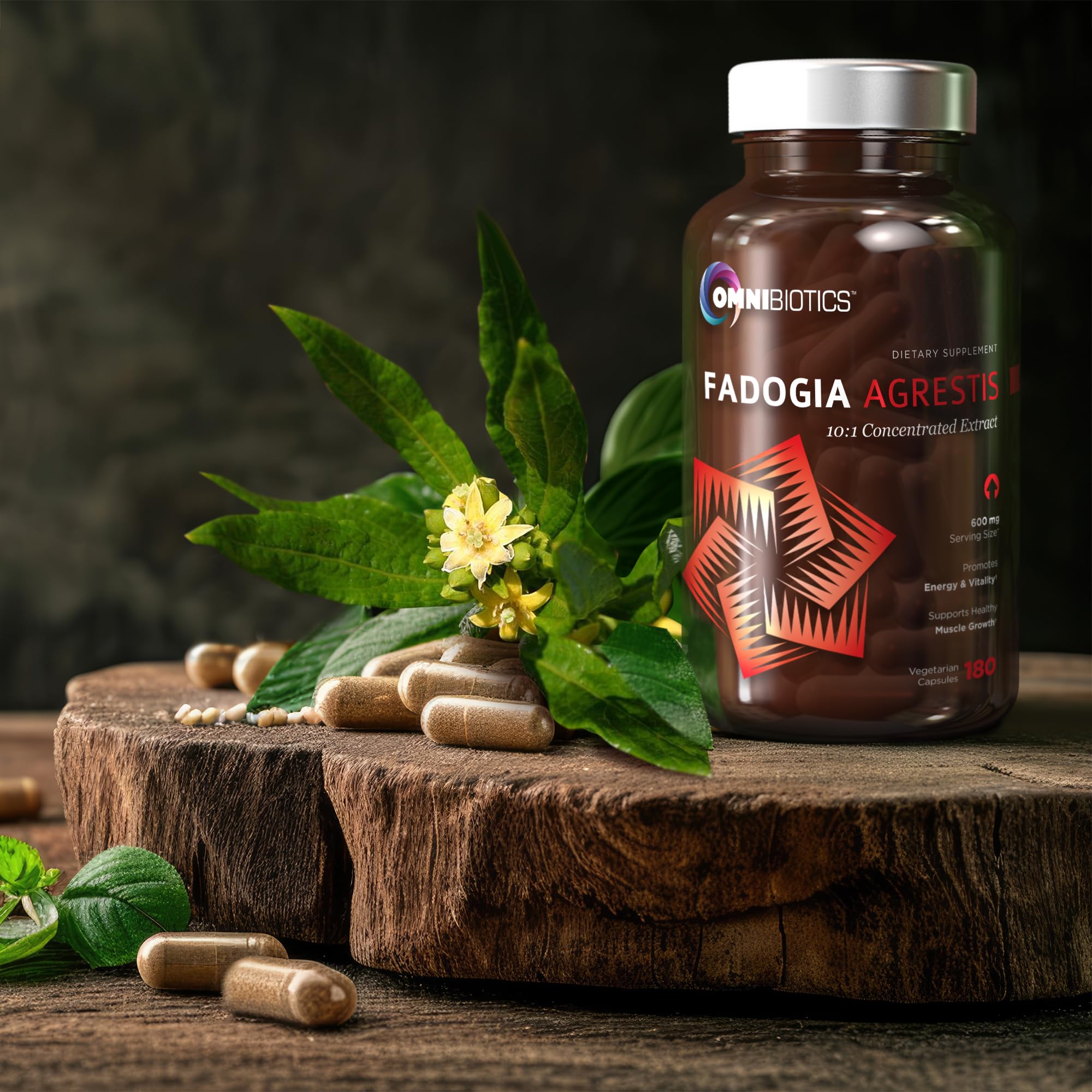 OmniBiotics Fadogia Agrestis uso en entrenamiento: promueve mayor resistencia y enfoque.