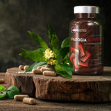 OmniBiotics Fadogia Agrestis uso en entrenamiento: promueve mayor resistencia y enfoque.