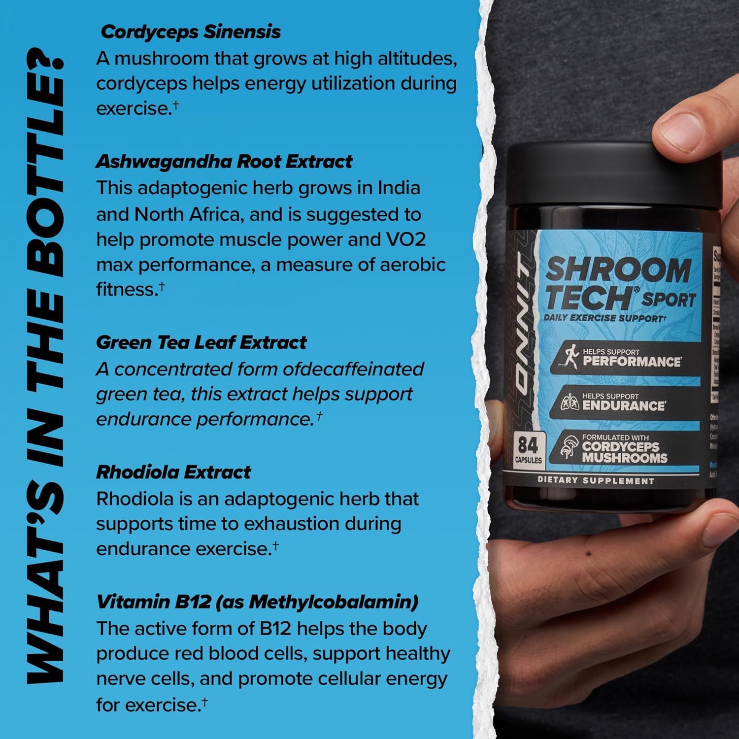 ONNIT escena de oficina con suplementos: enfoque sostenido.