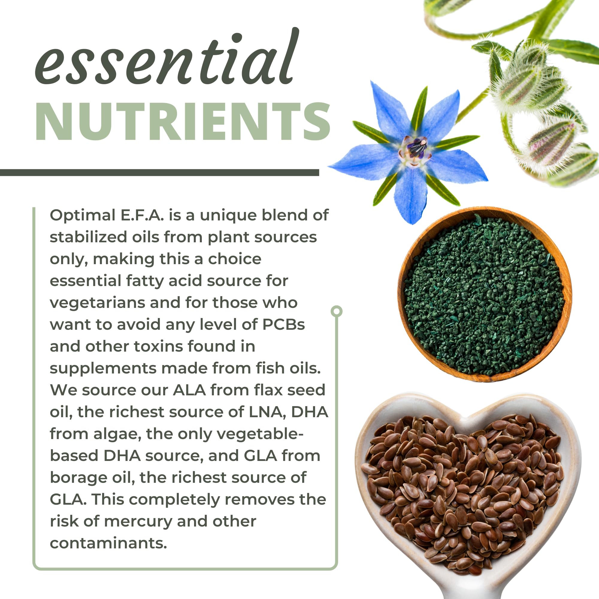 Optimal Health Systems EFA: etiqueta limpia, sin gluten, sin transgénicos.