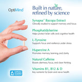 Extracto Synapsa Bacopa de Optimind para memoria y aprendizaje.