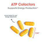 Mano sosteniendo tableta Optimox ATP Cofactors para consumo diario