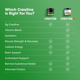 Optimum Nutrition creatina micronizada sin sabor lista para pre-entrenamiento