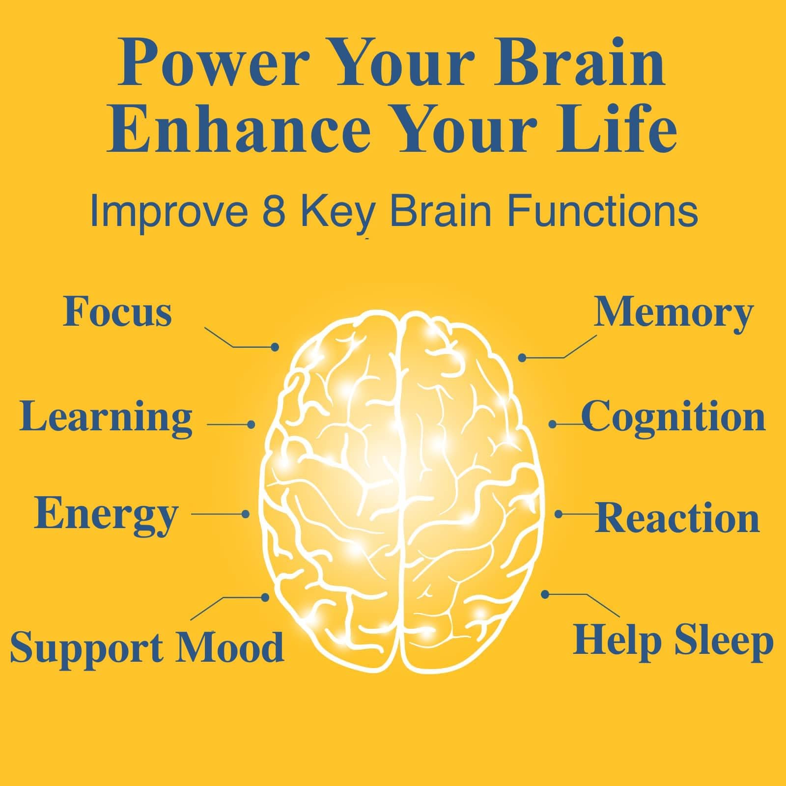OPTINOURISH Brain alcar como componente clave de energía mental
